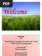 Download Emerging Pest Problems in India and Critical Issues in Their Management by nitishghodake SN47293395 doc pdf