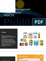 Strategic Management Assignment On Pidilite
