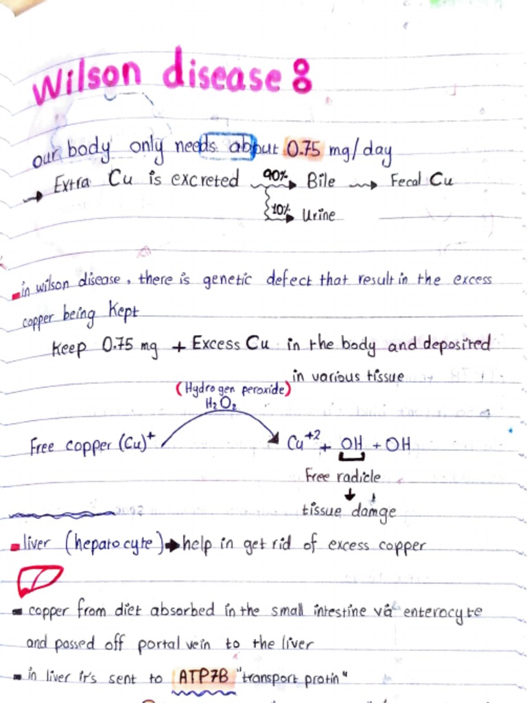 Wilson Disease | PDF
