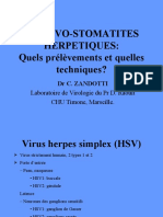GINGIVO-STOMATITES - IDE2008-zandotti PDF