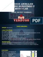 TEJIDOS SANGUÍNEO Y MUSCULAR