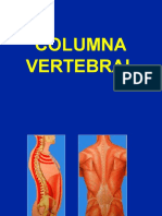 Columna Vertebral Aspectos Generales