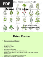 A01_Familias_Plantas.pptx