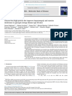 Glucose-Freehigh-Protein Diet Improves Hepatomegaly and Exercise Intolerance in Glycogen Storage Disease Type III Mice