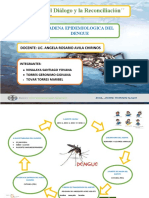 Cadena Epidemiologica Del Dengue