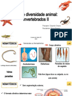 Invertebrados Ii