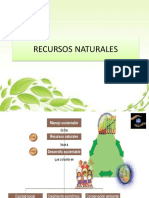 Recusos Naturales Capitulo 1 PDF