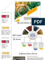 Es20 - Esolutions Brochure - Va PDF