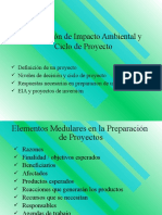 Ciclo Del Proyecto de La EIA