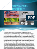 ENFERMEDADES TROPICALES 0.pptx