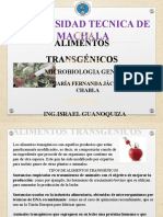 Alimentos Trnsgenicos