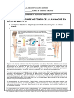 8° Básico Prueba de Módulo