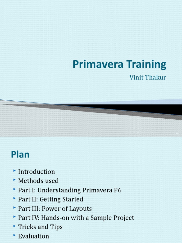 Primavera Training | PDF | Computing