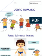 Cuerpo Humano