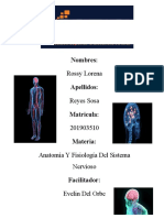 Anatomia y Fisiologia Del Sistema Nervioso 8