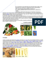 Plantas Alimenticias