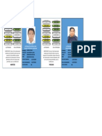 Formato Fotocheck PDF