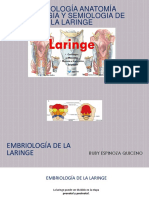 1.laringe anatmia,fisiologia.pdf