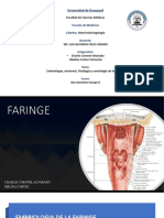 1.embrio y anato faringe.pdf