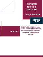 202007-ANEXO2_Guia_pedagogica_Resumen_CTE.pdf