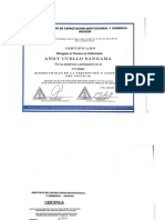 Doc1 - Andy CERTIFICADO