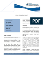 Origen y Biología Del Jabalí PDF