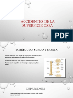 Accidentes de La Superficie Ósea