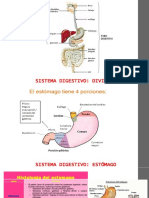 B3-20200812222312-SIST DIGEST II