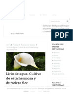 Lirio de Agua. Cultivo de Esta Hermosa y Duradera Flor - Agromática PDF