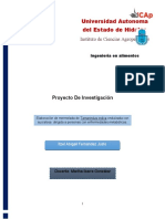 Proyecto De Investigación.docx