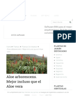 Aloe Arborescens. Mejor Incluso Que El Aloe Vera - Agromática