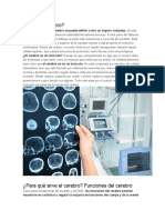 El Cerebro, Roles Del Hemisferios