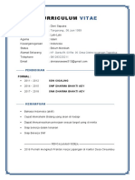 CV Deni PDF