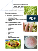 POR QUÉ CONSUMIR GERMINADOS.docx