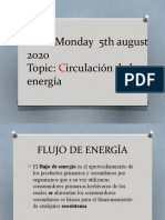 FLUJO DE ENERGIA nuevo