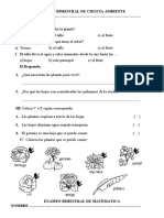 Examen Bimestral de Ciencia Ambiente