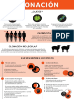 Infografía Clonación