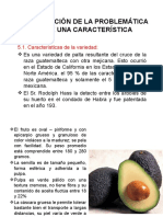 Diapositiva Palta