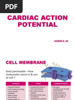 Cardiac Action Potentials Explained | PDF | Action Potential | Cell Biology