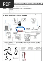 sordaria_doc_elv_rv76