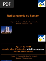 2.2 FP Radio Anatomie Du Rectum PDF