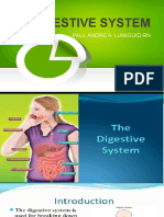 Digestive System: Paul Andre A. Lumiguid RN