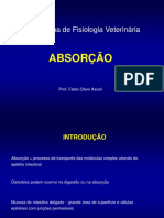 Absorcao PDF