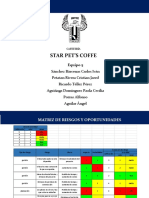 Matriz Ryo PDF