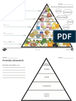 Piramida Alimentelor PDF