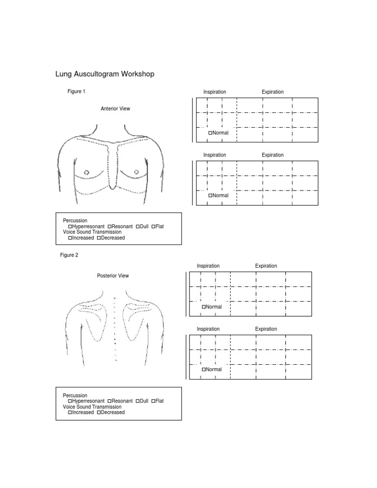 Lung Auscultation Techniques Workshop | PDF | Exhalation | Respiratory ...