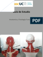 Material de Estudio Práctico Miología PDF