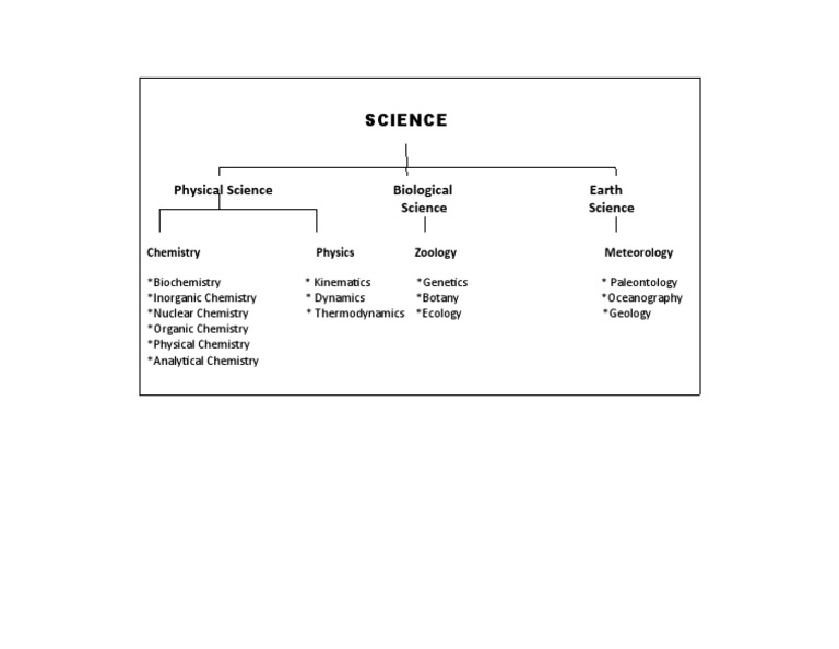 Branches of Science | PDF