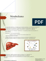 Metabolismo y biotransformación fármacos
