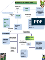 MAPA CONCEPTUAL DE DISEÑO Y CONSTRUCCION BIODIGESTOR